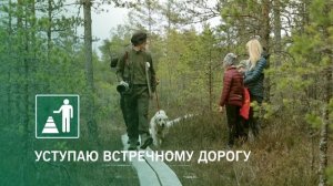 Правила поведения на природе