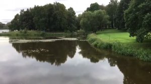 Стрельна и окрестности