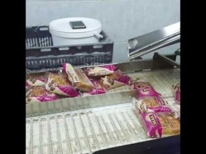 Транспортер горка для готовой продукции на действующем хлебозаводе, завод СЭМЗ