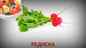 Учим овощи.Название овощей.Для детей. Развиващий Обучающий