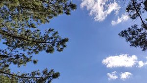 Отдых у тропы Косыгина в Кисловодске