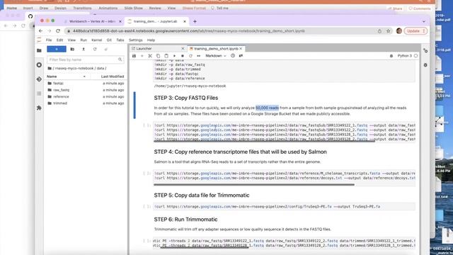 Walkthrough of Sub-Module 1 - RNA-Seq Differential Expression Analysis (2 of 2) смотреть онлайн