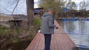 Уловы в спорт зоне и в основном водоеме, Клевое место, Юдино.