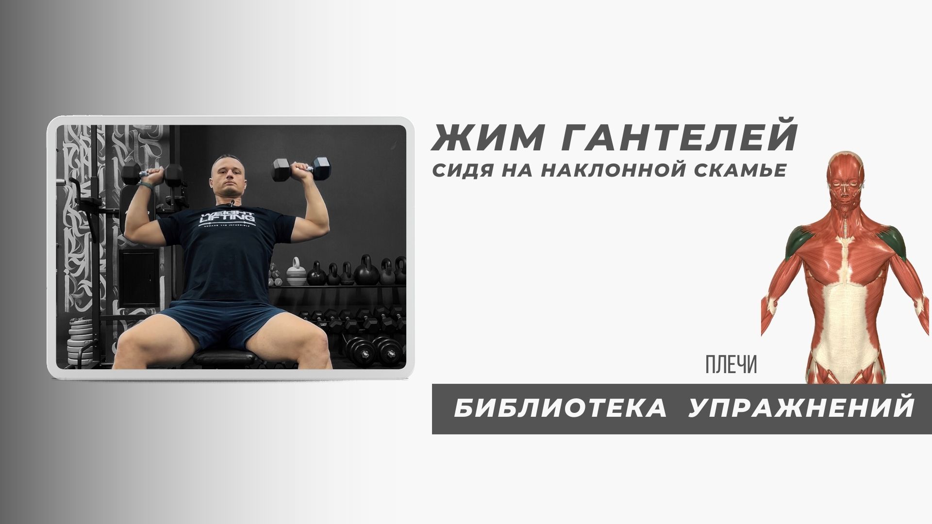 Качаем ПЛЕЧИ правильно. Безопасная техника выполнения для новичков.