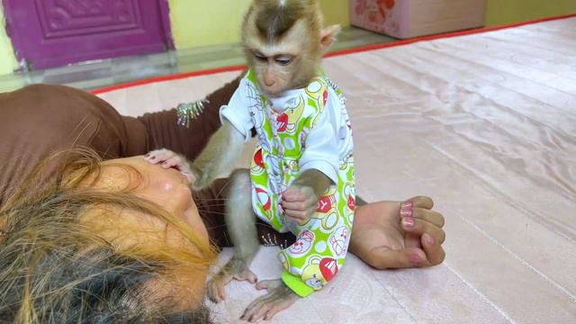 Respected Movement Small Jessa Falling Asleep During Grooming Mom смотреть онлайн