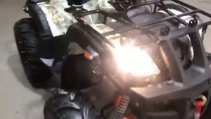 Обзор grizzly 250 cc кардан