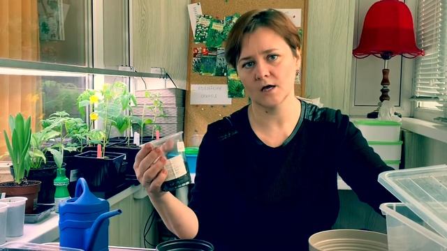 Как вырастить ореховый сад? Стратификация и скарификация семян нам в помощь. смотреть онлайн