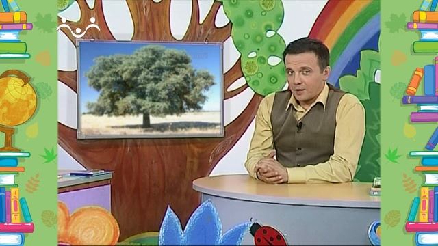 Школа Шишкиного Леса. Природоведение. Дуб