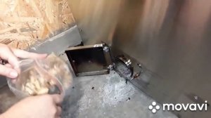 ???Как коптит Диана Строгая в Коптильне Москит