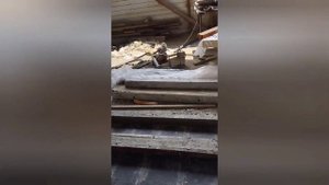 Производство виноградных столбов .