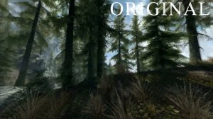 🏆Лучшая сборка модов на реалистичную графику в Skyrim уровня The Elder Scrolls 6 !