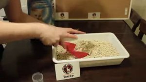 Обзор наполнителя Pussy-cat впитывающий