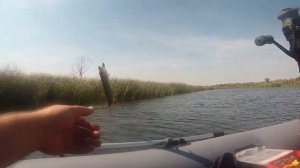 Рыбалка и отдых в Липецкой области 1 серия