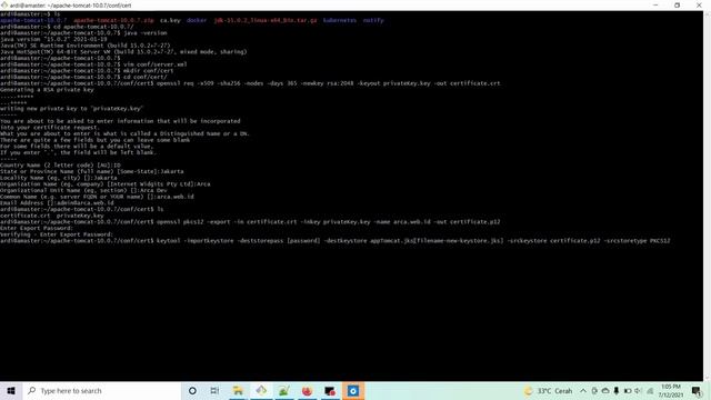 Konfigurasi Apache Tomcat + SSL смотреть онлайн