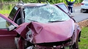 Жигули врезались в дерево. Водитель не выжил