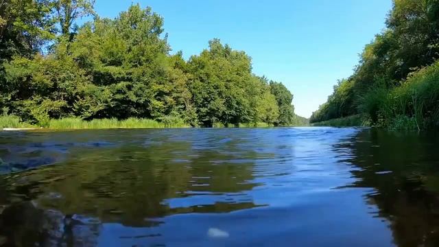 БЕЗ ГРИМА.ВОЙНА.ЛИЦЕМЕРНЫЕ БЛОГЕРЫ И ЗНАМЕНИТОСТИ.