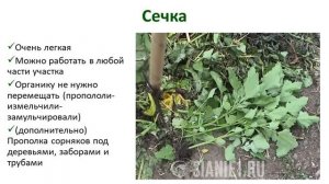 Сечка для измельчения травы (видеоинструкция)