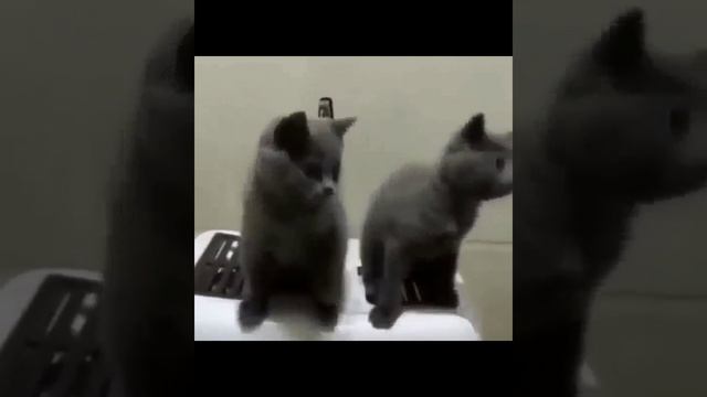 не уходи дружок смотреть онлайн