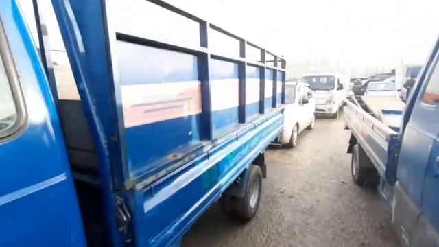 ПОРТЕР БААЛАРЫ ОШ/31/01/2021 смотреть онлайн