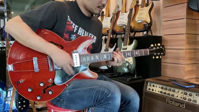 Gibson Es-330 1966 Original Brazilian Board смотреть онлайн