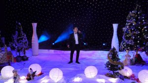 Сергей Чубарка_Снежинки