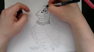 Как нарисовать попугая из мультика Буба
