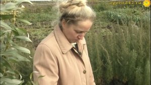 Ивы Лилии Коваленко