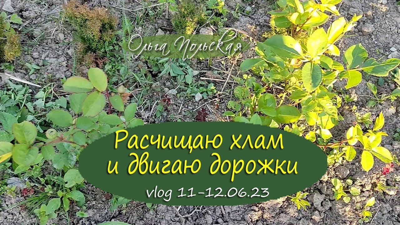 Расчищаю зону отдыха и переношу дорожку | Vlog  Дача как есть. Хроника 11-12.06.2023