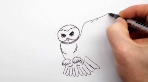 Как Нарисовать Сову поэтапно - Учимся рисовать Сову
