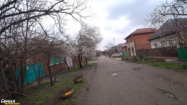 Весна в Краснодаре: всё цветёт и пахнет. Моя жизнь после переезда на юг