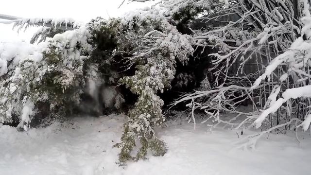 Свекруня. Страшные истории из реальной жизни/Мистические истории