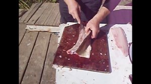 Как быстро почистить (разделать) щуку