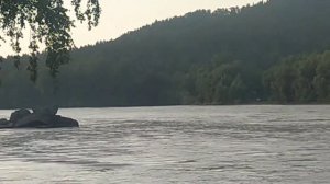 ГОРНЫЙ АЛТАЙ Катунь обзор #Горныйалтай #рекакатунь #КАТУНЬ