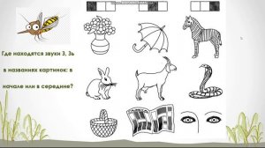 Звук и буква З (1). Подготовка к обучению грамоте.