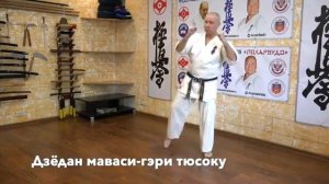 Кихон и Ренраку. Техника - 10 кю. 2 дан.