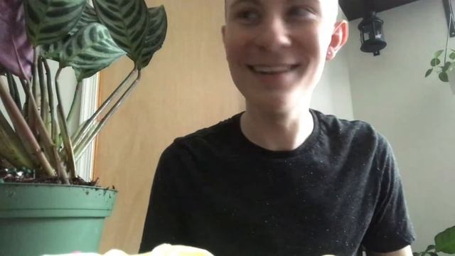 eBay Houseplant Unboxing | Ctenanthe & Stromanthe смотреть онлайн