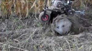 Копка картофеля мотоблоком