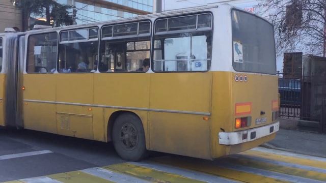 Ploiești : Ikarus 280 #2175(104) părăsind terminalul “Armoniei” смотреть онлайн