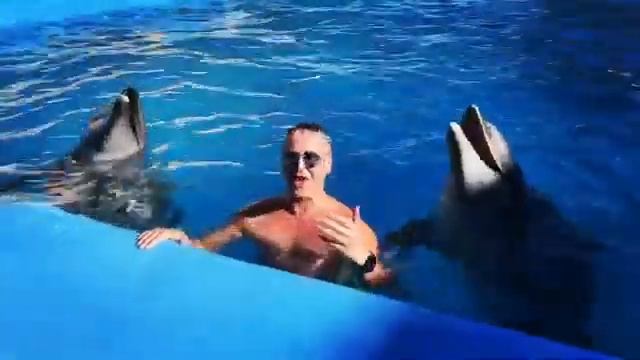 Акапелла Витаса - когда дельфины поют лучше тебя смотреть онлайн