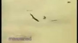 ОХОТА ОРЛОВ, НА ВОЛКОВ