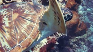 936 Гц Исцеляющая частота, Расслабляющая музыка медитации и сна - 936 Hz Healing Frequency, Relaxin