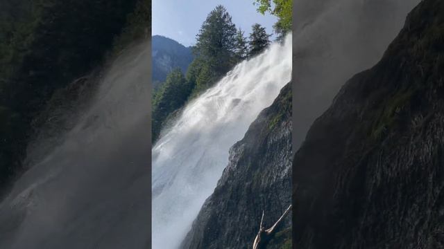 #britishcolumbia cruising! Some clips of the inside passage. #fishing #fishboat #letsgo #boating