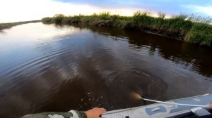 Кастинговая сеть техника американка - моя техника заброса, заодно наловил ванну рыбы. Рыбалка 2022