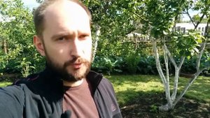 Работать за компьютером стоя? диезВИДЕОБЛОХ