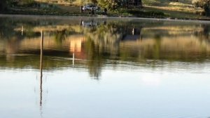 Сосед ловит толстолоба а я сижу. Выбор места имеет значение. ?