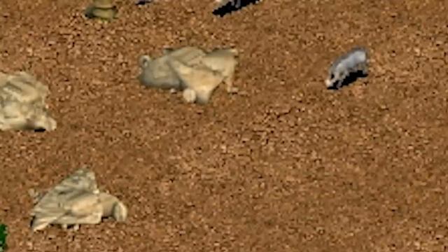 Zoo Tycoon Complete™ смотреть онлайн