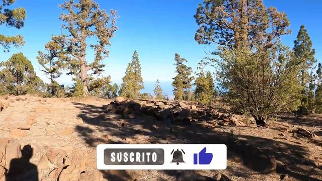 TENERIFE | Sombrero de Chasna Trail [Vilaflor] ?️ Nature | Summer 2021 | Walking Tour [4K] смотреть онлайн