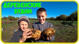Деревенские будни / Выкопали часть картошки / Начали ломать полы