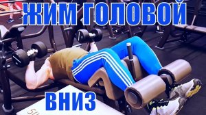 Жим гантелей головой вниз на обратно наклонной скамье - Юрий Спасокукоцкий