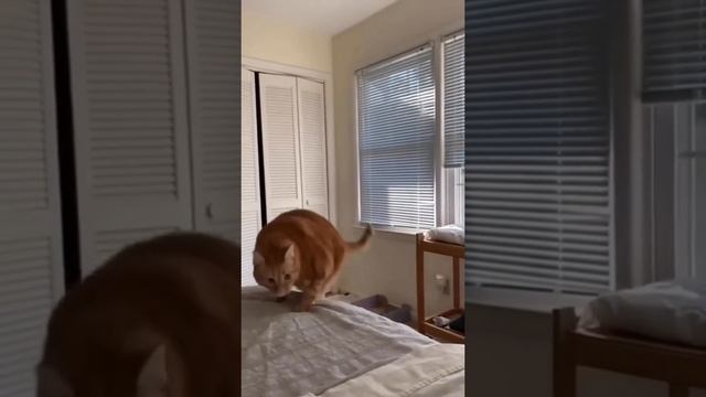 1000002200.mp4 смотреть онлайн